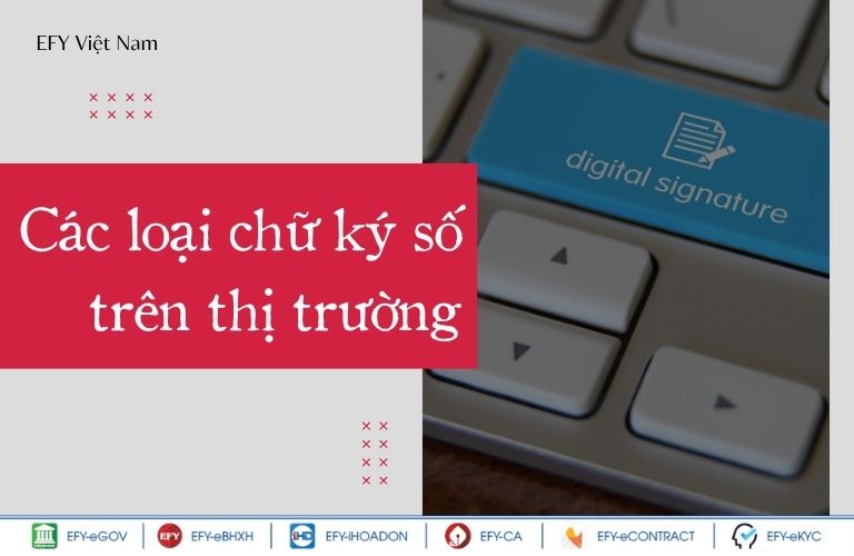 hộ kinh doanh nên dùng loại chữ ký số nào